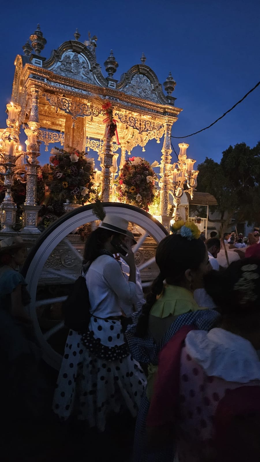 Romería de Pentecostés 2026 — foto 132