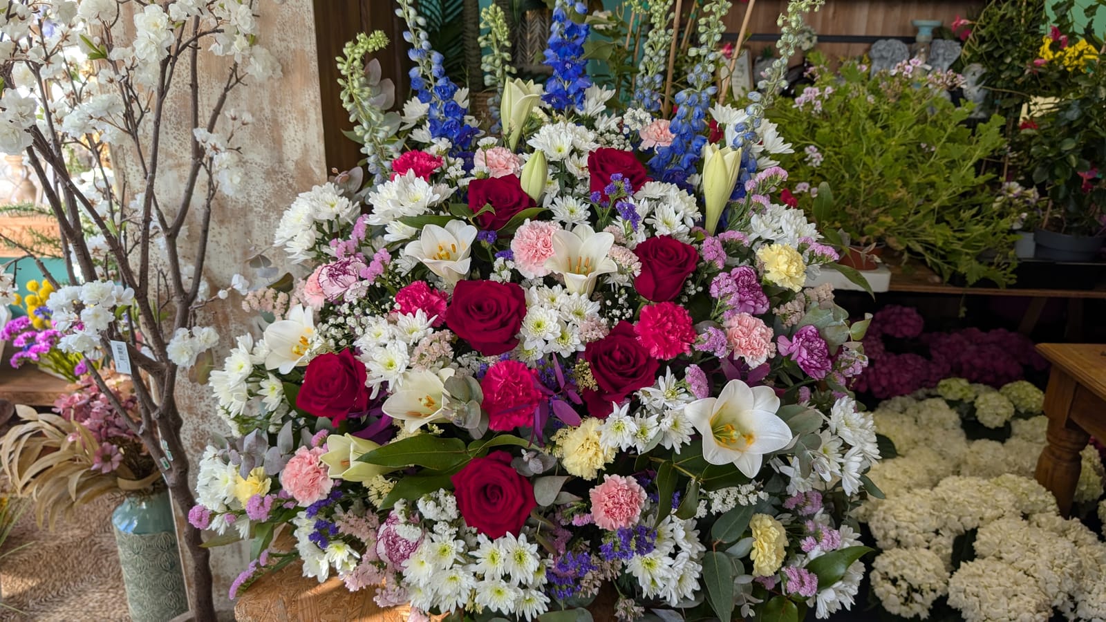 Romería de Pentecostés 2026 — foto 196