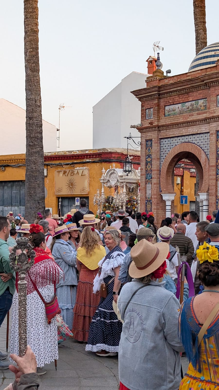 Romería de Pentecostés 2026 — foto 198