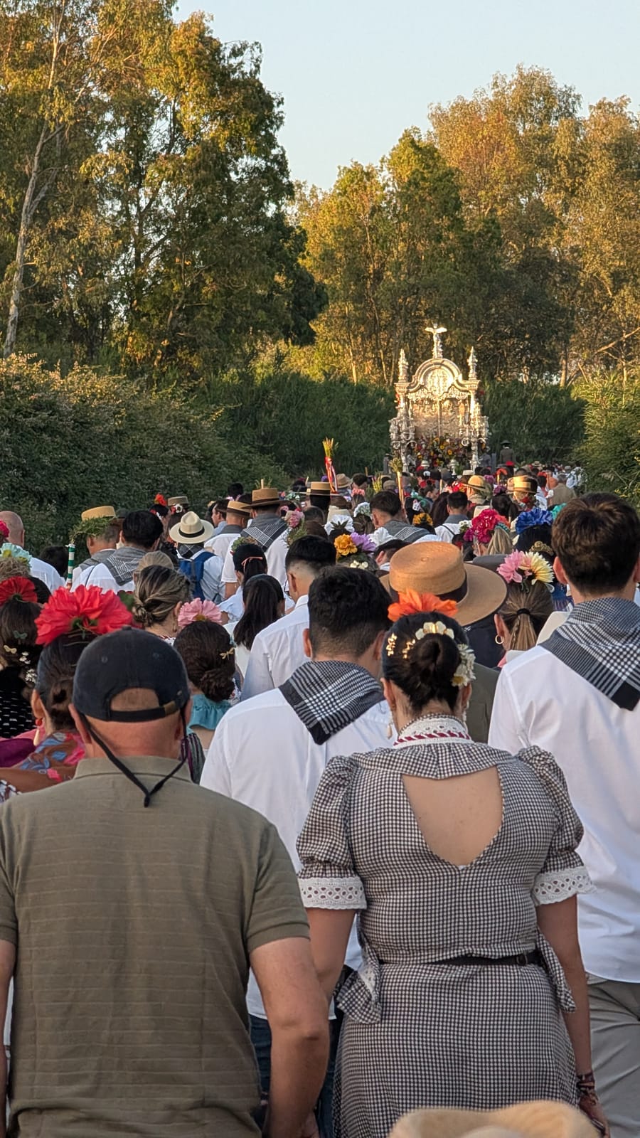 Romería de Pentecostés 2026 — foto 201