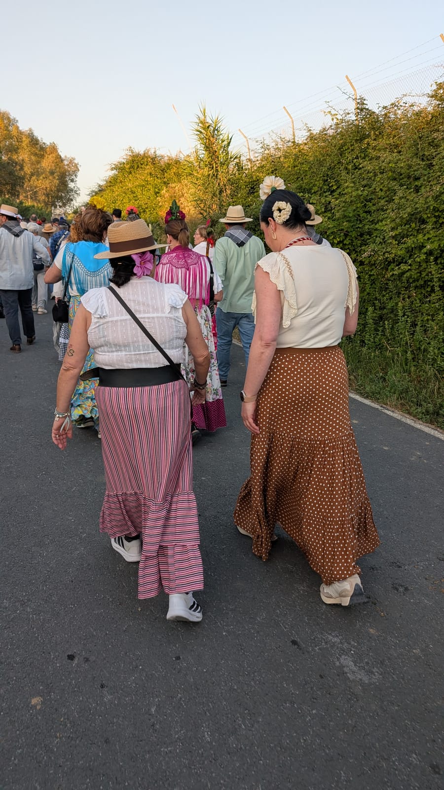 Romería de Pentecostés 2026 — foto 202