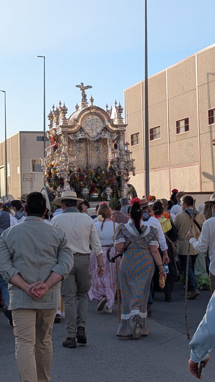 Romería de Pentecostés 2026 — foto 203