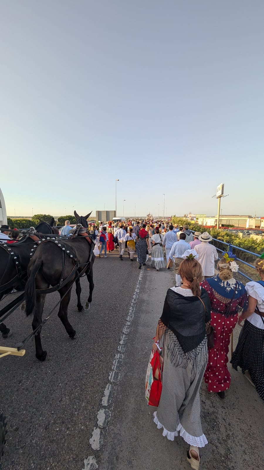 Romería de Pentecostés 2026 — foto 204