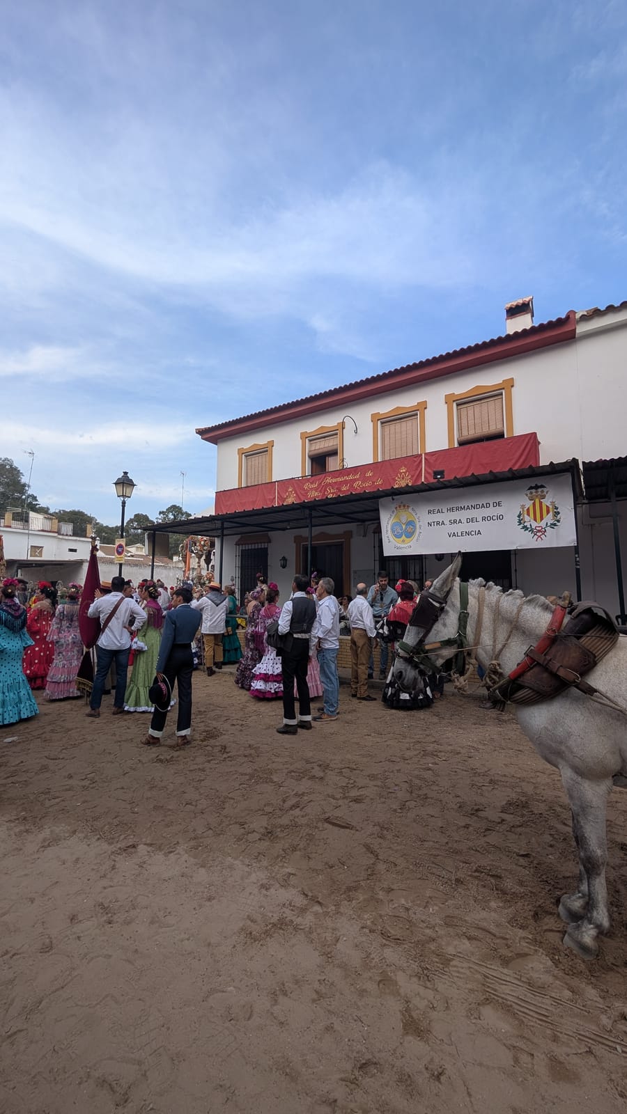 Romería de Pentecostés 2026 — foto 208