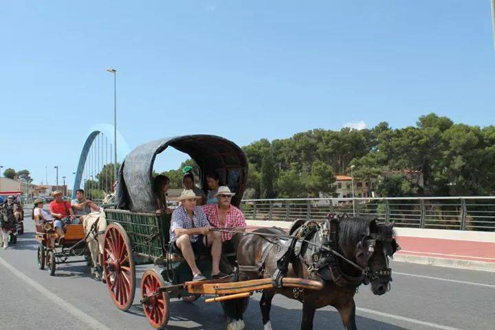 Romería de Torrent 2017 — foto 69